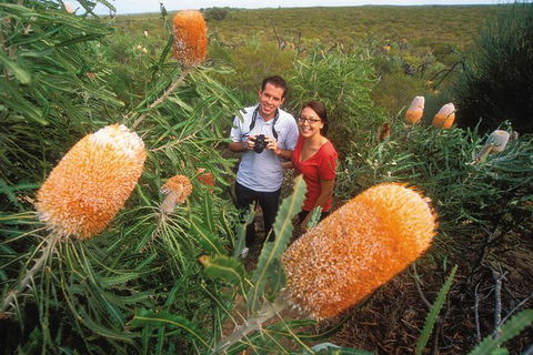 Best Of Perth Wildflower Season Day Trip - Kempsey Accommodation 6