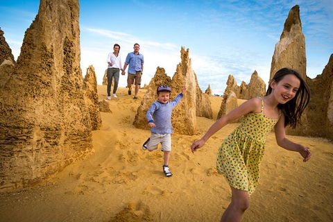 Full-Day Pinnacles Desert And Yanchep National Park Tour From Perth - Kempsey Accommodation 6
