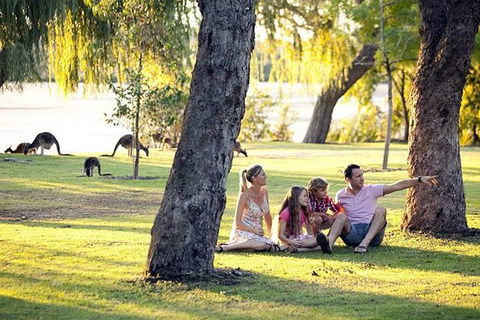 Full-Day Pinnacles Desert And Yanchep National Park Tour From Perth - Kempsey Accommodation 1