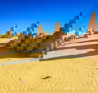 Full-Day Pinnacles Desert and Yanchep National Park Tour From Perth - Kempsey Accommodation