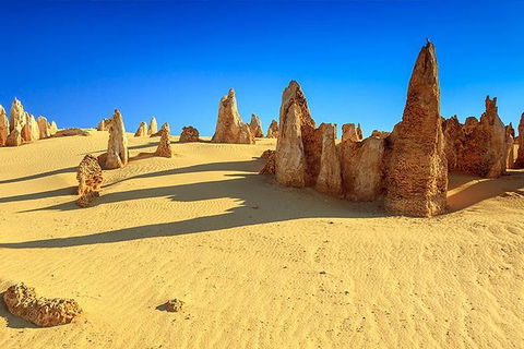 Full-Day Pinnacles Desert And Yanchep National Park Tour From Perth - Kempsey Accommodation 0
