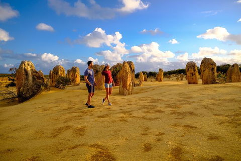 Full-Day Pinnacles Desert And Yanchep National Park Tour From Perth - Kempsey Accommodation 5