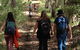 Guided Walks On The Cape To Cape - Skippy Rock - thumb 1