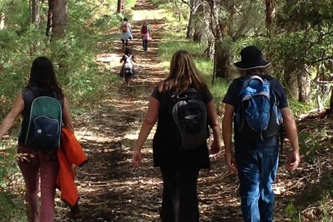 Guided Walks On The Cape To Cape - Skippy Rock - Kempsey Accommodation 1