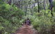 Guided Walks On The Cape To Cape - Skippy Rock - thumb 0