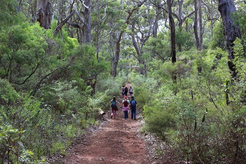 Guided Walks On The Cape To Cape - Skippy Rock - Kempsey Accommodation 0
