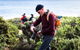Guided Walks On The Cape To Cape - Skippy Rock - thumb 3