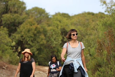 Guided Walks On The Cape To Cape - Skippy Rock - Kempsey Accommodation 4