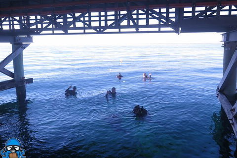 PADI Open Water Course - Kempsey Accommodation 3