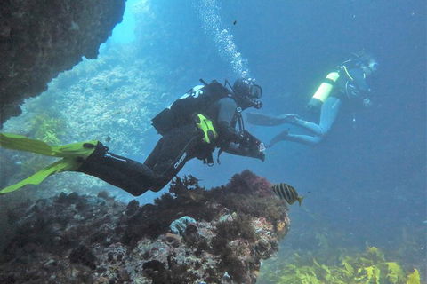 PADI Open Water Course - Kempsey Accommodation 2