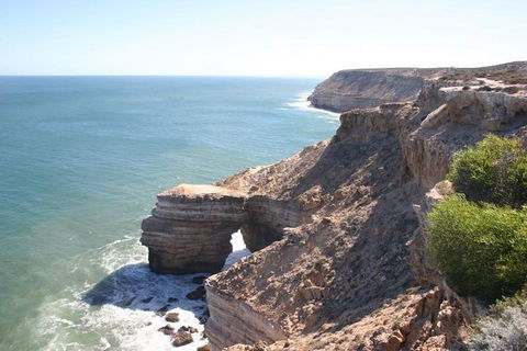 3-Day Shark Bay, Monkey Mia, Kalbarri West Coast Tour - Kempsey Accommodation 5