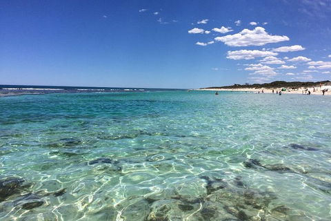 3-Day Shark Bay, Monkey Mia, Kalbarri West Coast Tour - Kempsey Accommodation 8