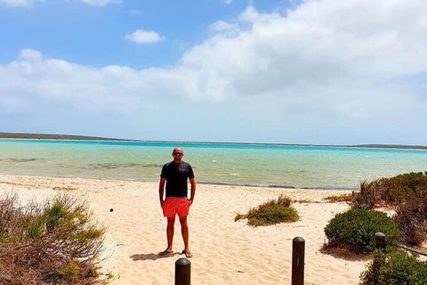 3-Day Shark Bay, Monkey Mia, Kalbarri West Coast Tour - Kempsey Accommodation 2