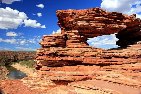 3-Day Shark Bay, Monkey Mia, Kalbarri West Coast Tour - Kempsey Accommodation 0