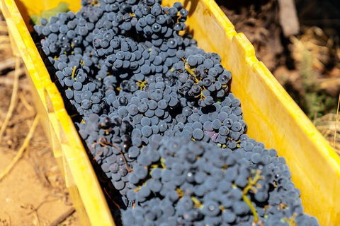 The Beautiful Swan Valley Private Day Trip: Vineyard Tour & Wine - Kempsey Accommodation 7