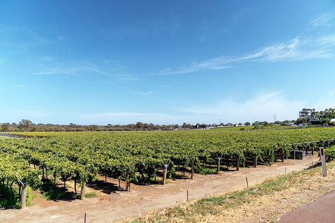 The Non-Touristy Swan Valley Private Day Trip & Wine Tastings - Kempsey Accommodation 3