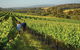6 Days Perth All-Inclusive Touring Package - thumb 5