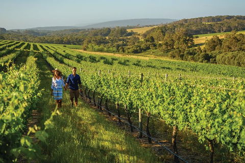 6 Days Perth All-Inclusive Touring Package - Kempsey Accommodation 5