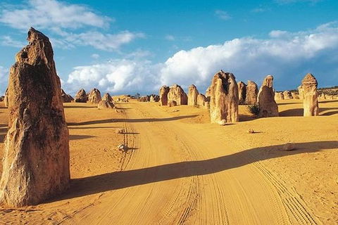 6 Days Perth All-Inclusive Touring Package - Kempsey Accommodation 0