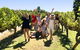 Wine, Beer & Chocolate Tour - thumb 0