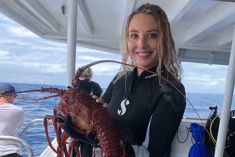 Become A PADI Open Water Diver In 3 Days In Perth - Kempsey Accommodation 5