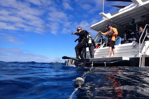 Become A PADI Open Water Diver In 3 Days In Perth - Kempsey Accommodation 0