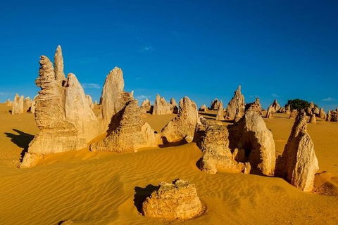 Pinnacle Desert Sunset And Stargazing With Dinner - Kempsey Accommodation 5
