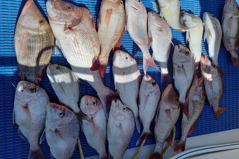 Geraldton Fishing Charter - Kempsey Accommodation 7