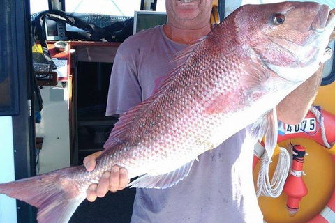Geraldton Fishing Charter - Kempsey Accommodation 10