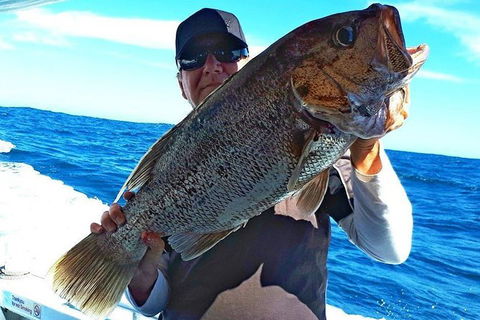 Geraldton Fishing Charter - Kempsey Accommodation 4
