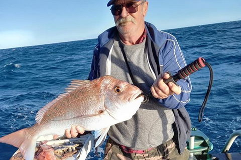 Geraldton Fishing Charter - Kempsey Accommodation 8