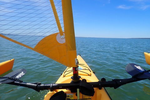 Sailing Kayak Adventure Through The Peel Harvey Estuary - Kempsey Accommodation 2