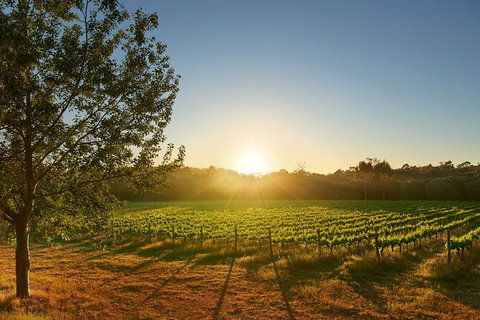 Private Barrel Hall Wine Tasting In The Margaret River Region - Kempsey Accommodation 3