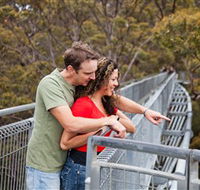 Valley of the Giants Tree Top Walk - Kempsey Accommodation