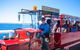 Busselton Jetty & Underwater Observatory Tour - thumb 3