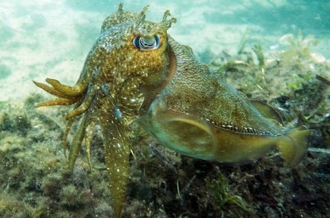 Busselton Jetty & Underwater Observatory Tour - Kempsey Accommodation 4
