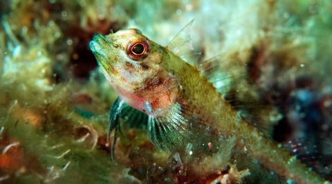 Busselton Jetty & Underwater Observatory Tour - Kempsey Accommodation 7