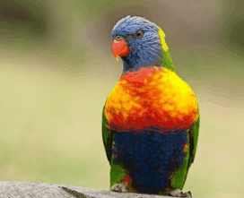 Booderee National Park - Kempsey Accommodation 1