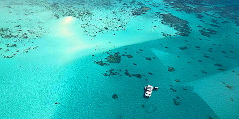 Ocean Free & Ocean Freedom - Cairns Premier Reef And Island Tours - Kempsey Accommodation 3