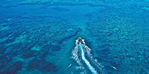 Ocean Free & Ocean Freedom - Cairns Premier Reef And Island Tours - Kempsey Accommodation 4