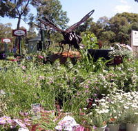 Zanthorrea Nursery - Kempsey Accommodation