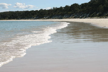 Dolphin Watch Cruises - Kempsey Accommodation 5