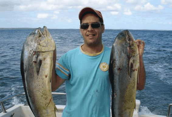 Jervis Bay Fishing And Charters - Kempsey Accommodation 0