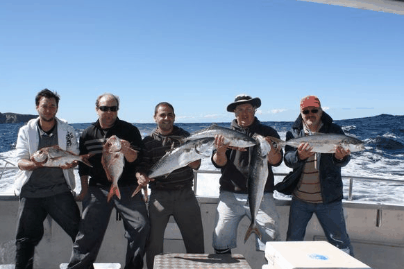 Jervis Bay Fishing And Charters - Kempsey Accommodation 2
