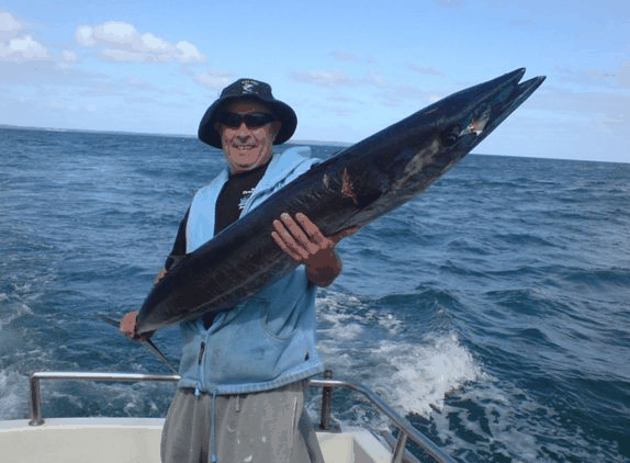 Jervis Bay Fishing And Charters - Kempsey Accommodation 4