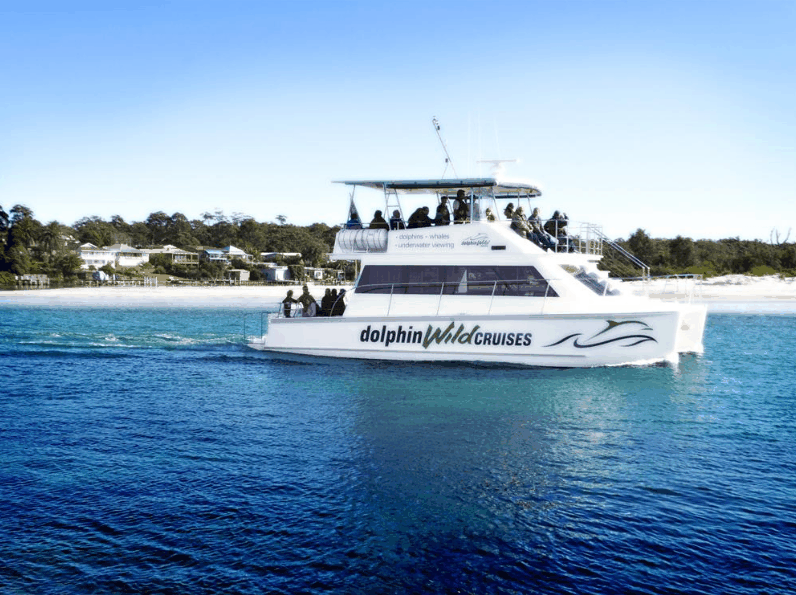Dolphin Wild Cruises - Kempsey Accommodation 1