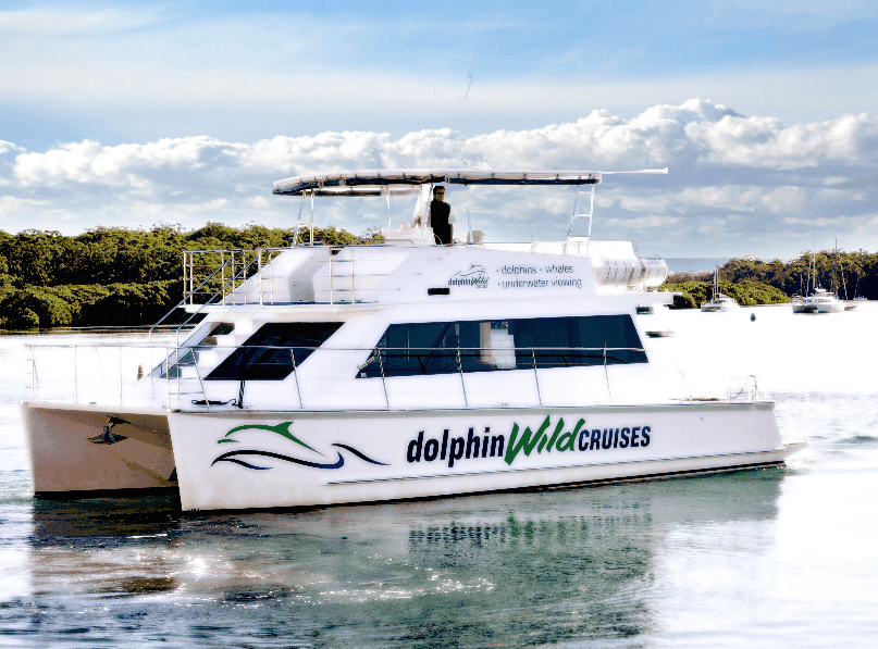 Dolphin Wild Cruises - Kempsey Accommodation 2