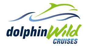 Dolphin Wild Cruises - Kempsey Accommodation 4