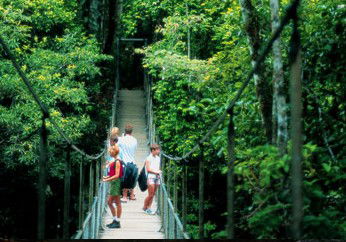 BTS Tours Pty Ltd - Kempsey Accommodation 4