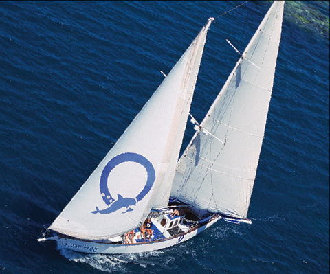 Ocean Free & Ocean Freedom - Cairns Premier Reef And Island Tours - Kempsey Accommodation 0